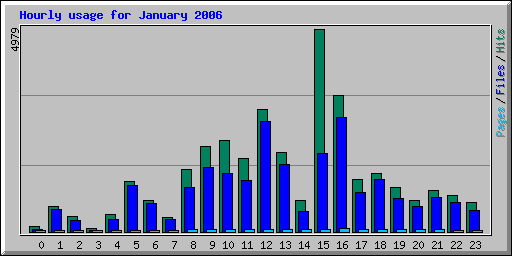 Hourly usage for January 2006