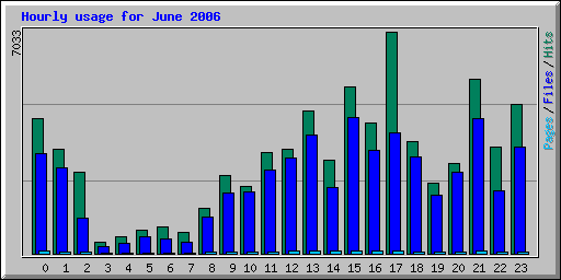 Hourly usage for June 2006